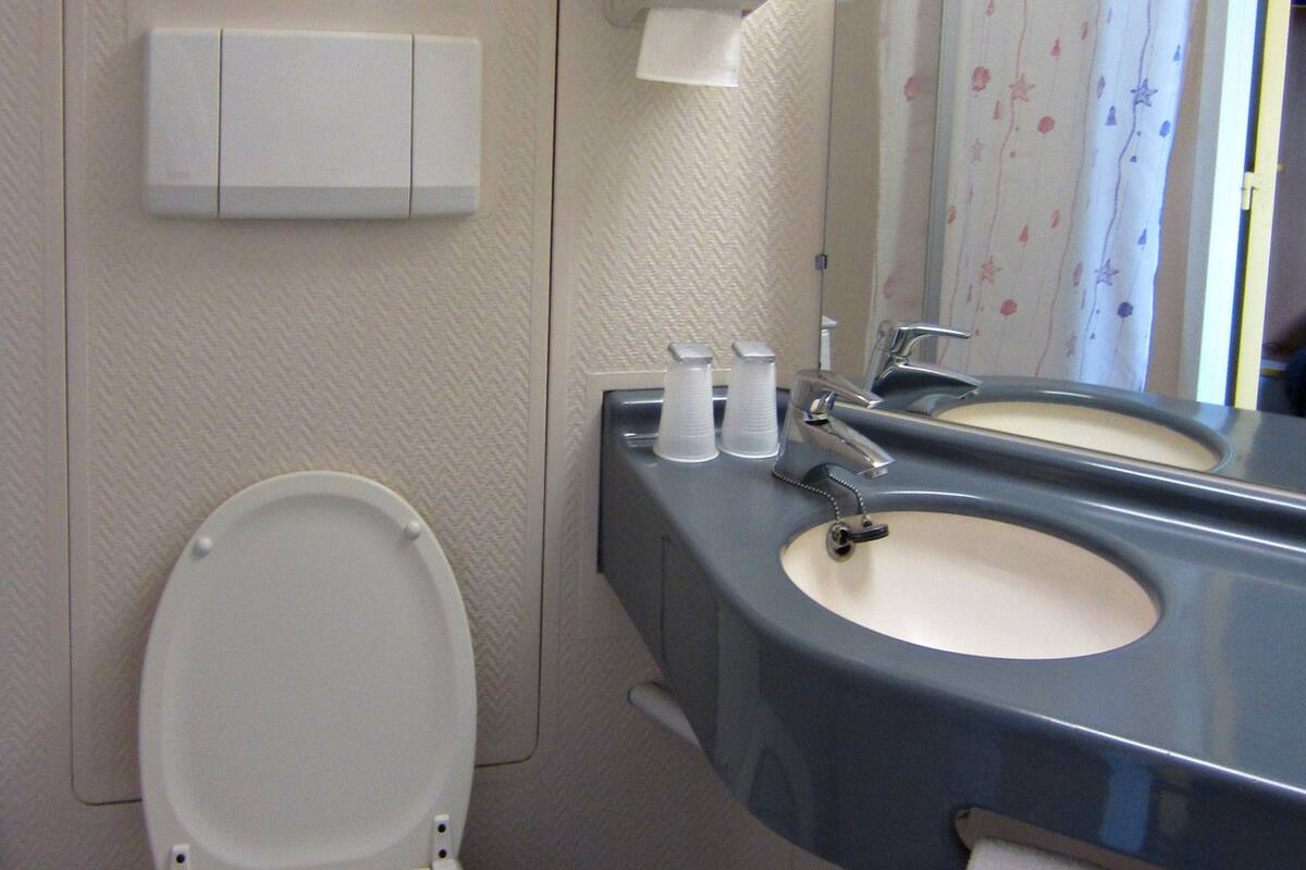 room, 1 double bed | bathroom | shower, free toiletries, hair dryer, towels