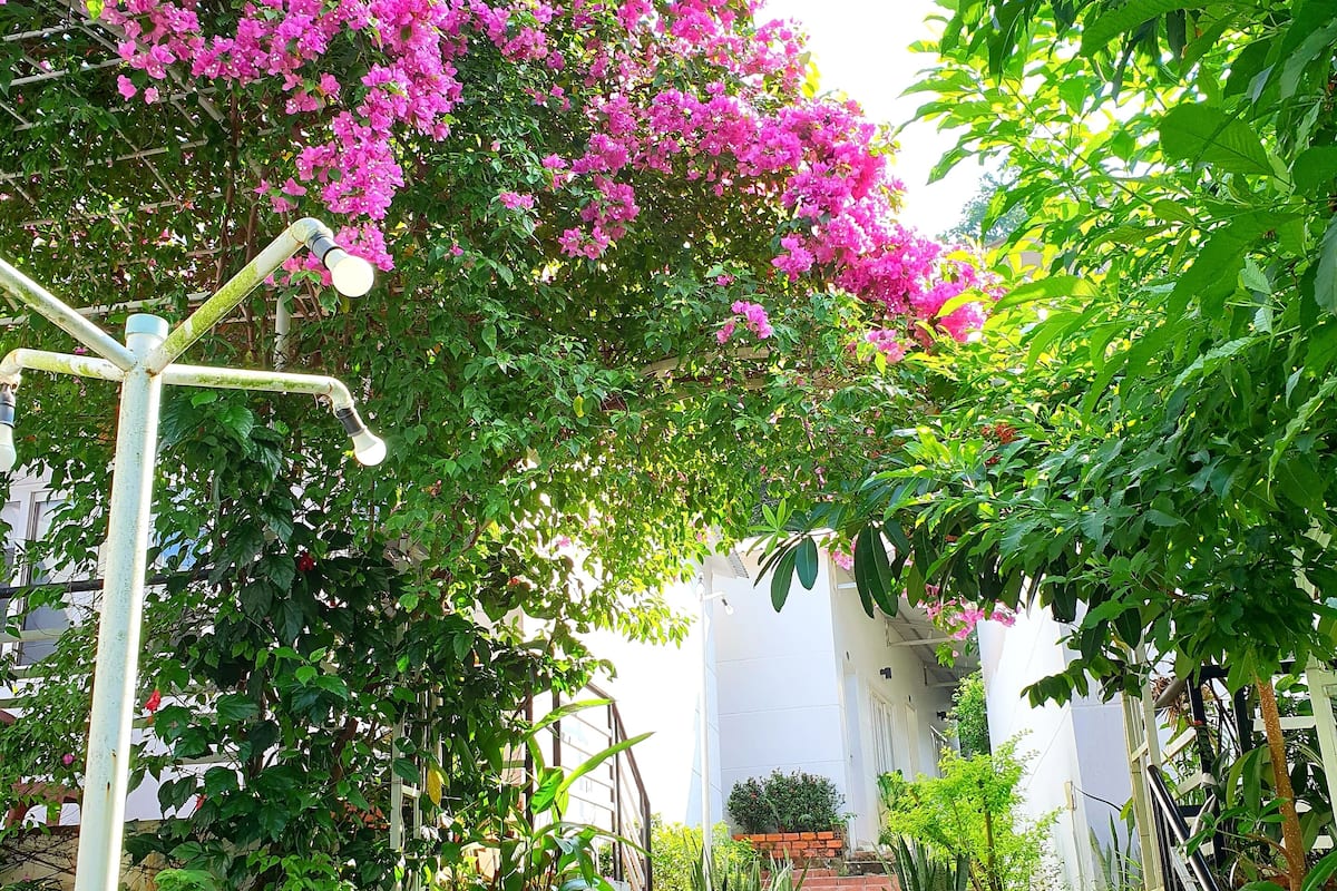 A staircase leading up to a white building with a garden area featuring pink flowers and green foliage.