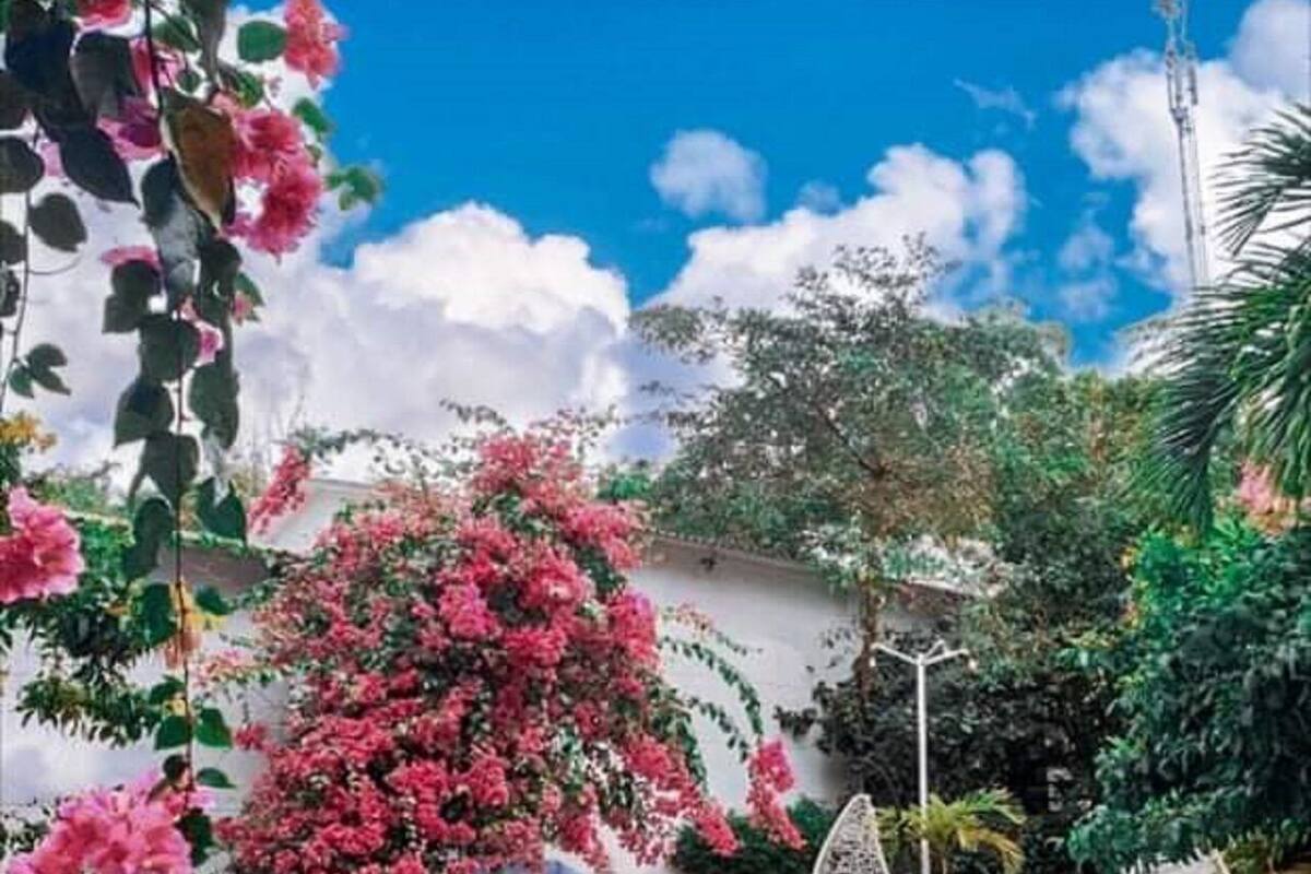 A swimming pool with a clear blue water, surrounded by lush greenery and pink flowers.