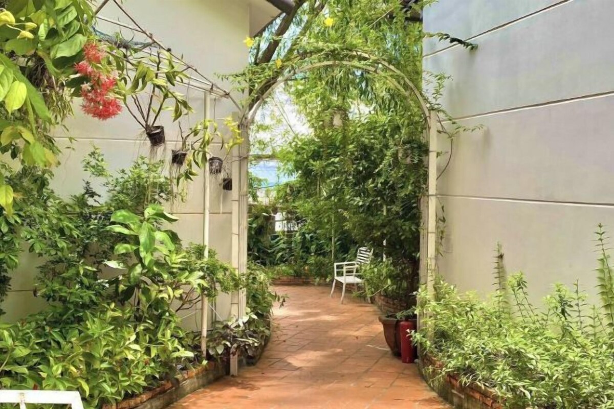 Un camí cobert i estret al jardí, amb plantes en testos i una cadira.