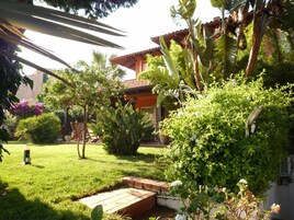 Un jardín cuidado con diversas plantas y un pequeño camino de ladrillo que lleva a un edificio con tejado de tejas.