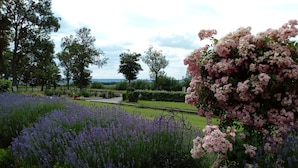 Un jardín con lavanda y flores rosas, una cerca de metal y árboles al fondo.