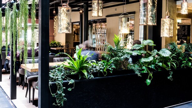 Un restaurant intérieur décoré de plantes suspendues, doté de tables en bois et d’un éclairage suspendu.