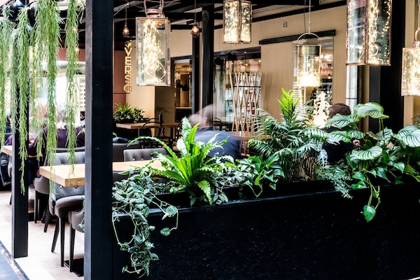 Restaurante