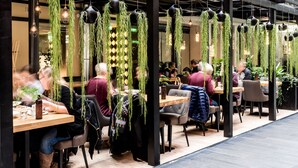 Un espace de restauration intérieur moderne, avec des tables et des chaises en bois, des plantes suspendues et des luminaires suspendus.