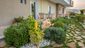 Une maison moderne dotée d’un patio, d’un espace salon extérieur et d’un jardin agrémenté de diverses plantes ainsi que d’un sentier en pierre.