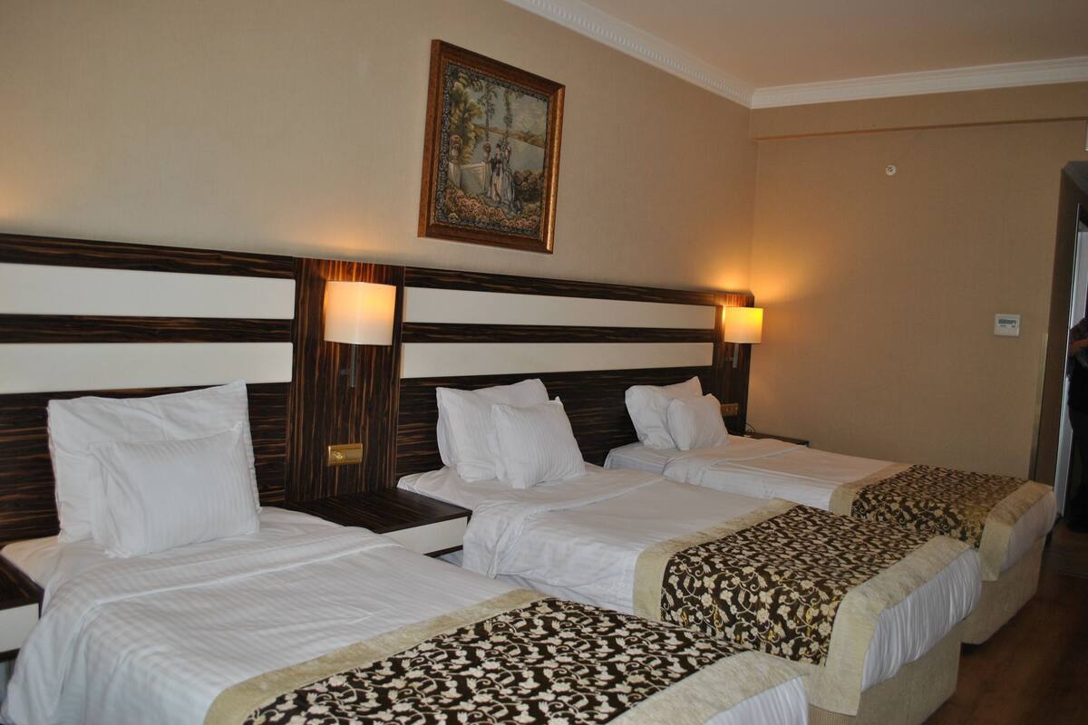 Triple Room | Minibar, in-room safe, desk, cribs (free)