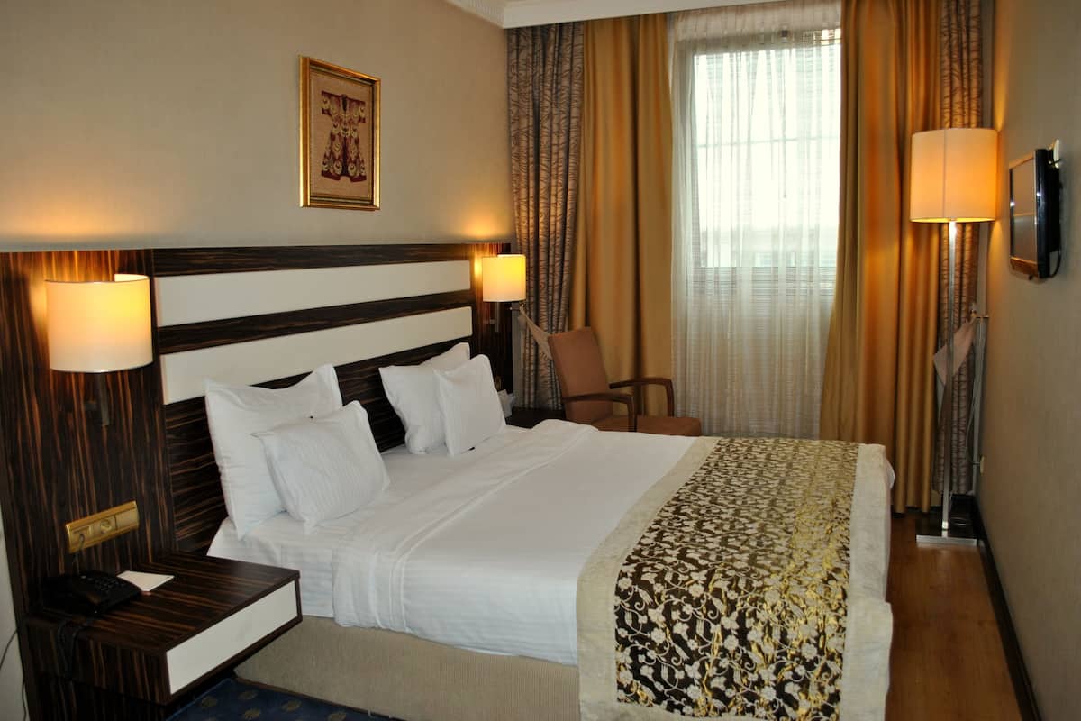 Economy Single Room | Minibar, in-room safe, desk, cribs (free)