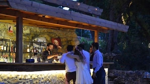 Bar (en la propiedad)