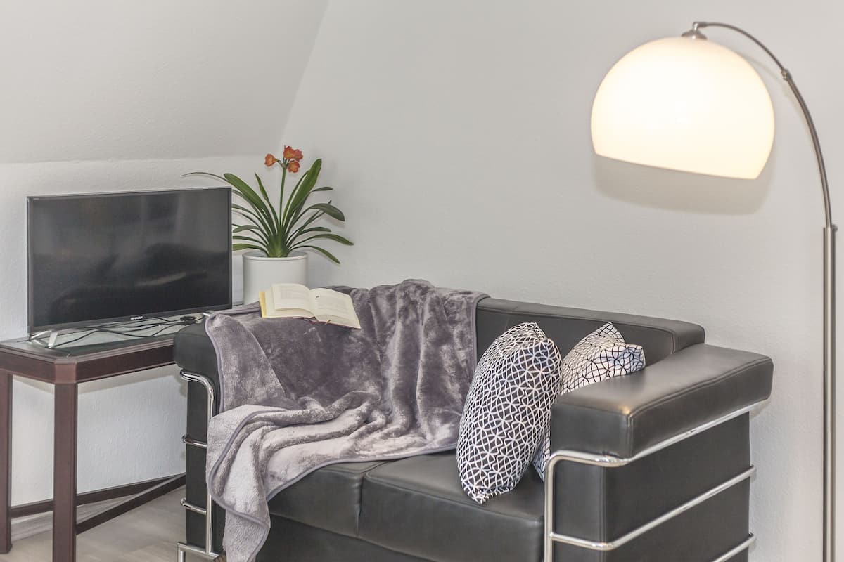 A modern living room with a sofa, a flat-screen TV, a floor lamp, a potted plant, and a book.