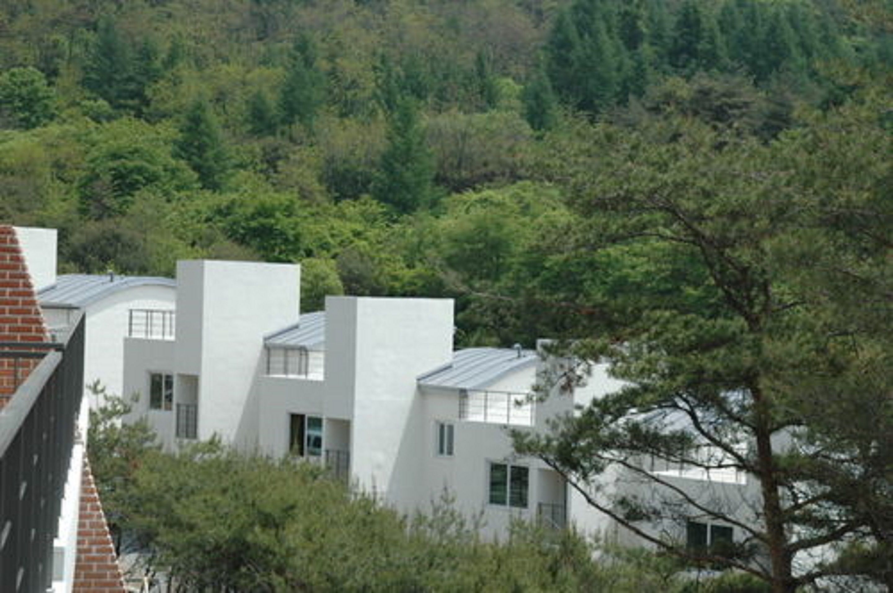 A modern building with white exterior walls and a sloped roof, surrounded by dense green trees.