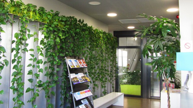 Et receptionsområde med en væg dækket af grønne planter, en magasinholder og en bænk.