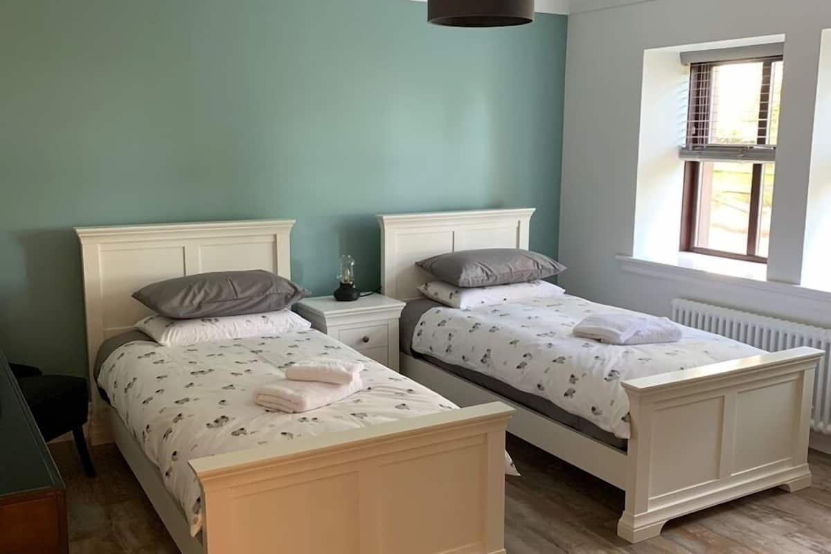 A bedroom with two beds, a window with blinds, a ceiling light, and a radiator.