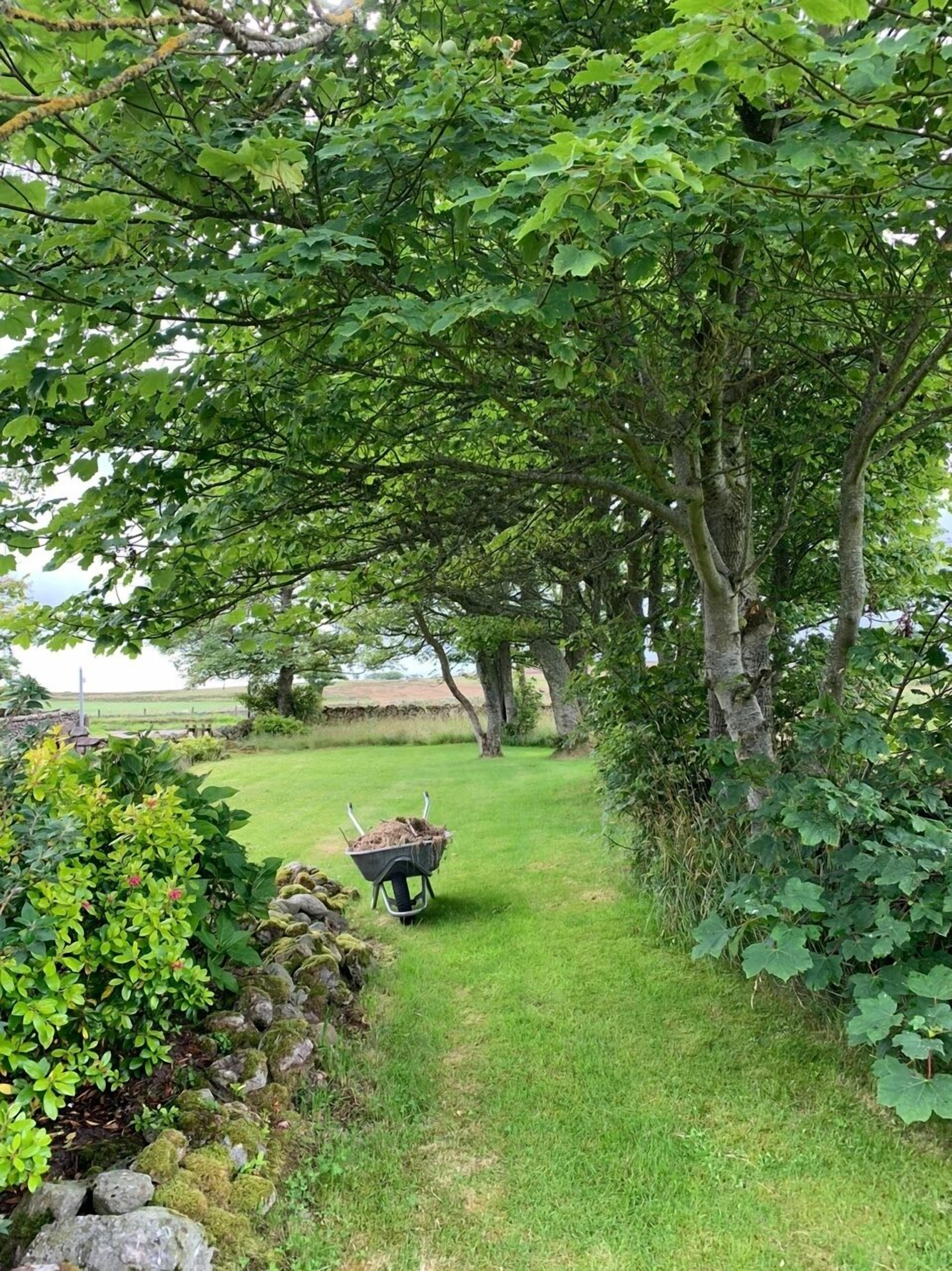 Ein Gartenweg mit einer Schubkarre, umgeben von üppigem Grün und Bäumen.