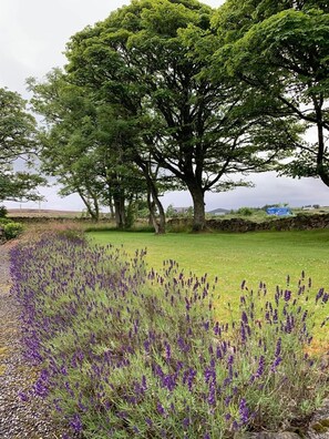 Garden - Crawfield Grange (Stonehaven)
