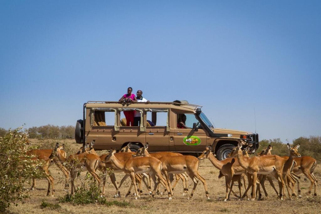 A safari vehicle with passengers observing wildlife.
