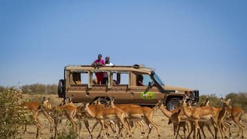 A safari vehicle with passengers observing wildlife.