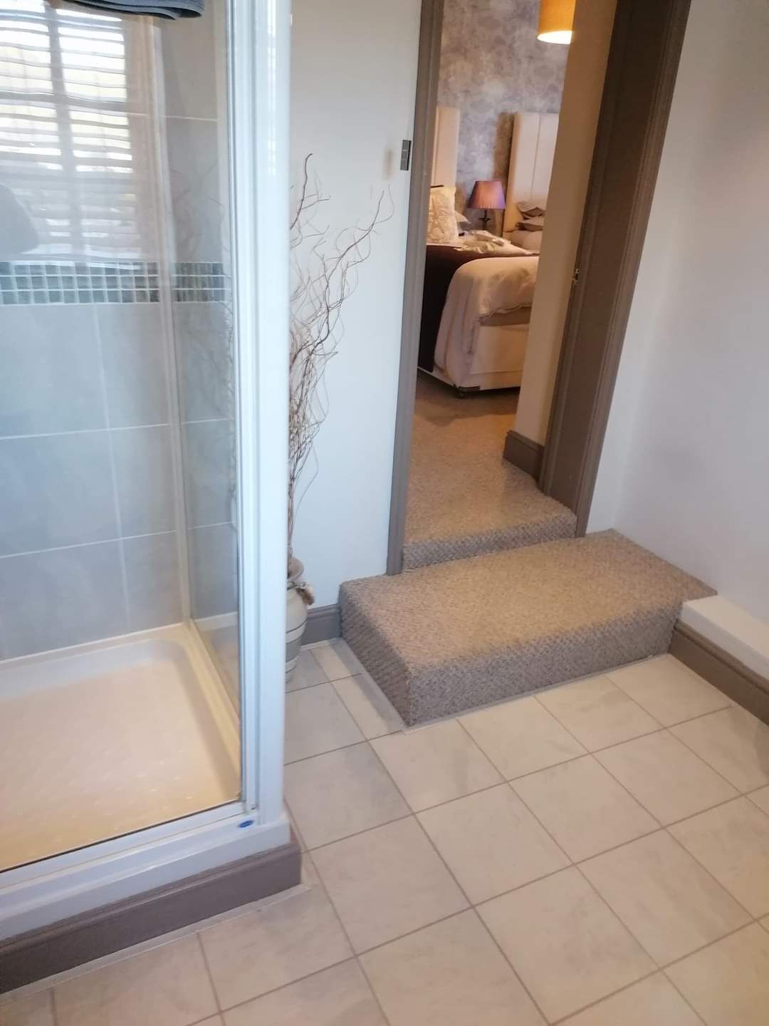 A bathroom with a glass shower enclosure, a tiled floor, and a small step leading to a bedroom.