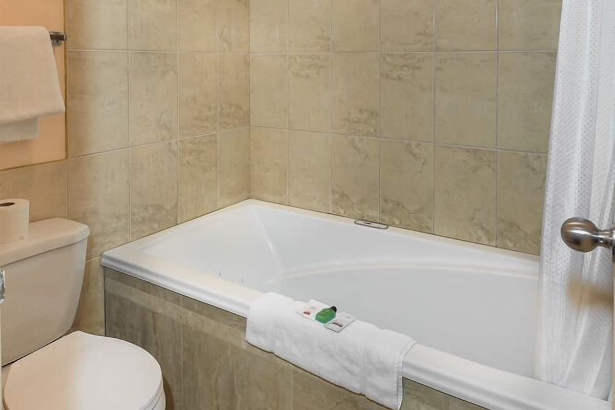 Gratis toiletartikelen, een haardroger, handdoeken