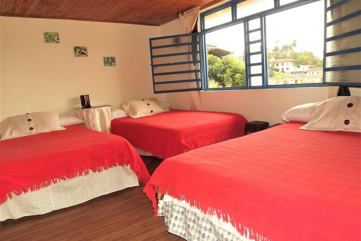 Quarto triplo família, 1 quarto, banheiro privativo | Cofres nos quartos, ferros/tábuas de passar roupa