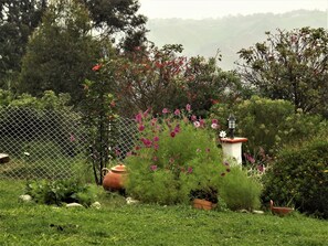 Double Room, Mountain View | In-room safe, iron/ironing board, rollaway beds