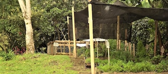 Hostal El Zorzal