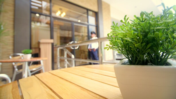 A wooden table with a potted plant in the foreground. - Anri Pension House (Cebu City)