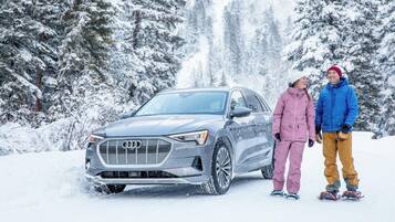 A car parked in a snowy forest.