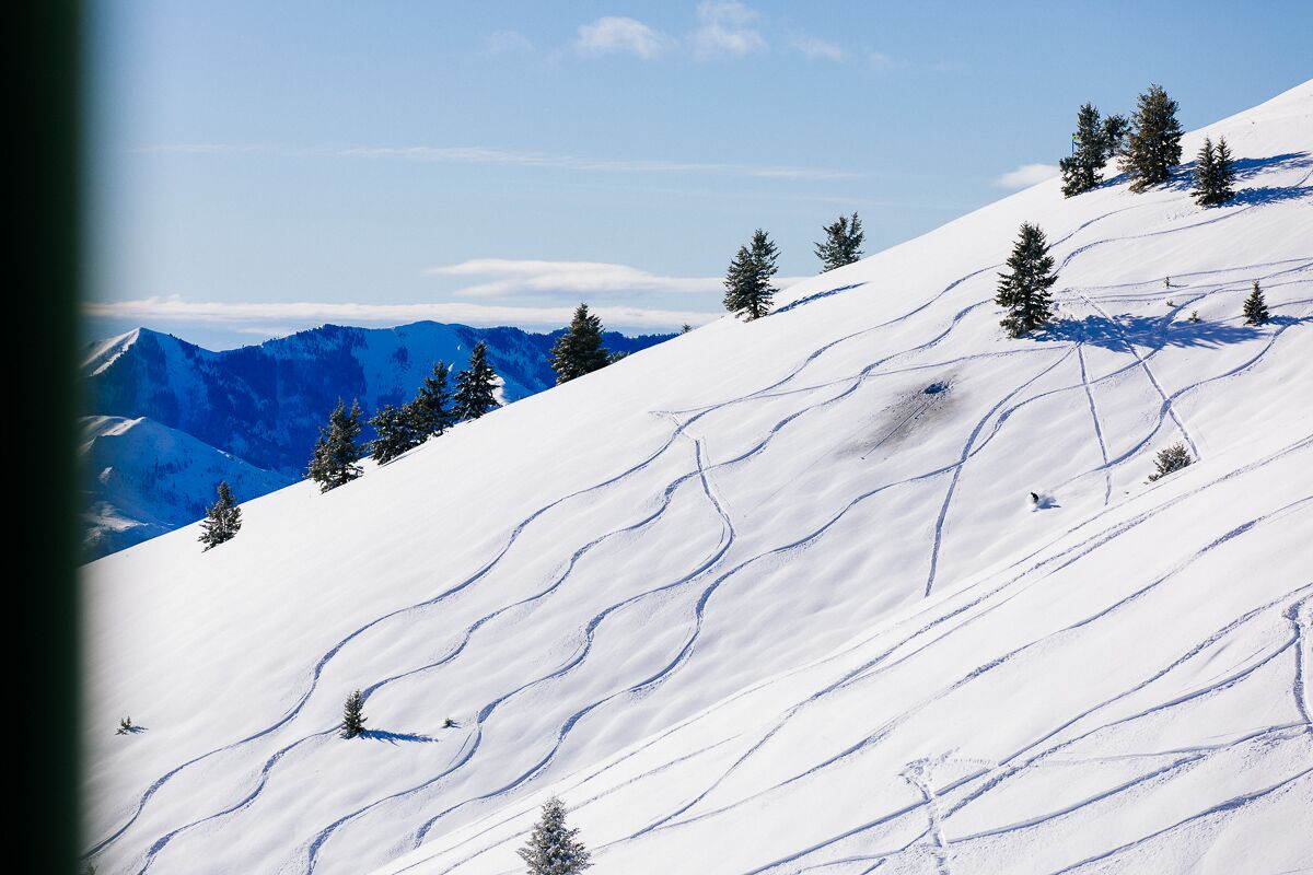Ski