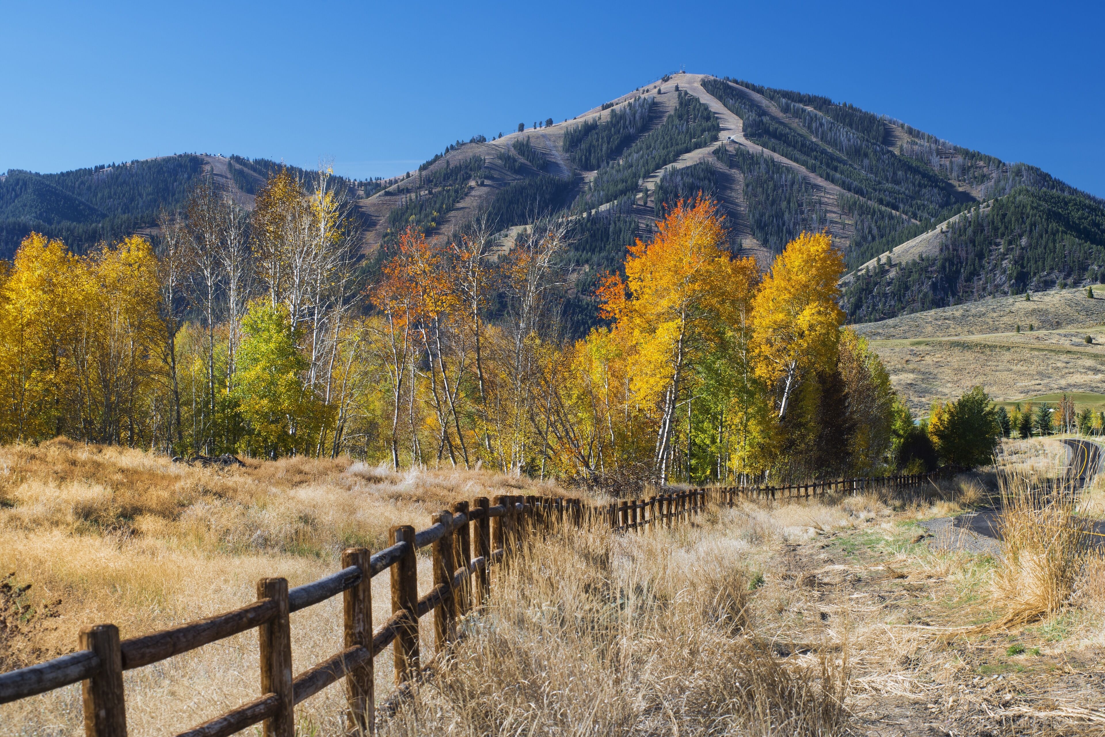 land view from property
