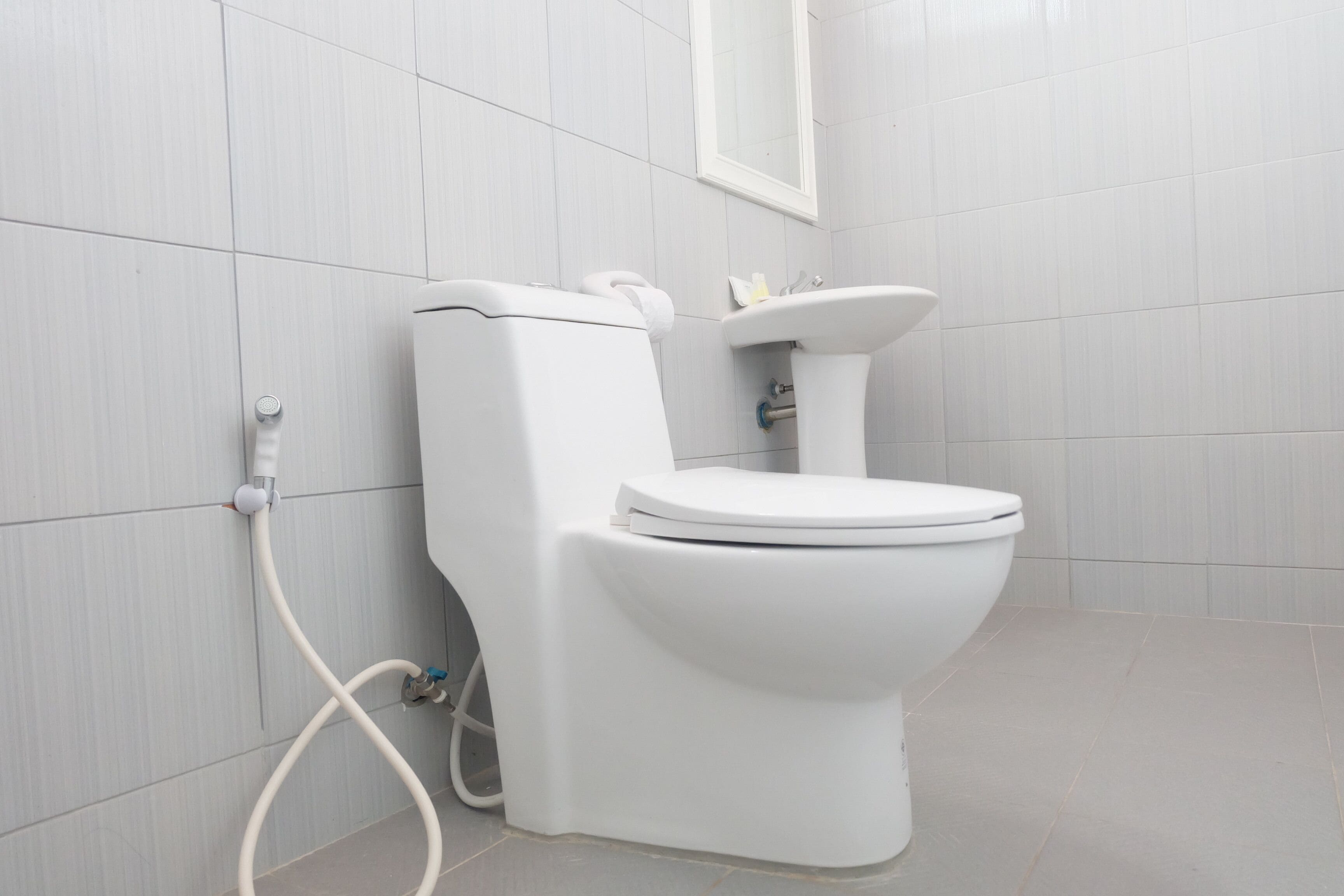 Inodoro blanco con tanque y asiento, lavamanos instalado en la pared y dispensador de papel higiénico.