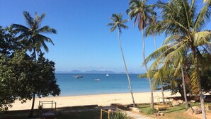 Una playa con palmeras, una orilla arenosa y barcos en el agua.