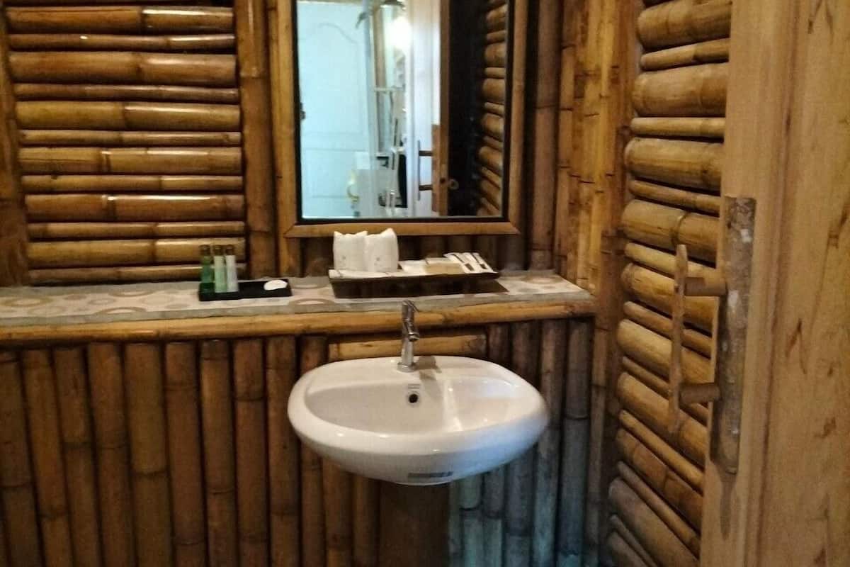 shower, free toiletries, towels