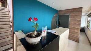 منطقة الاستقبال