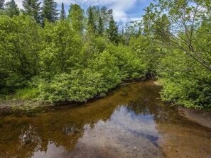 Une zone boisée traversée par un ruisseau.