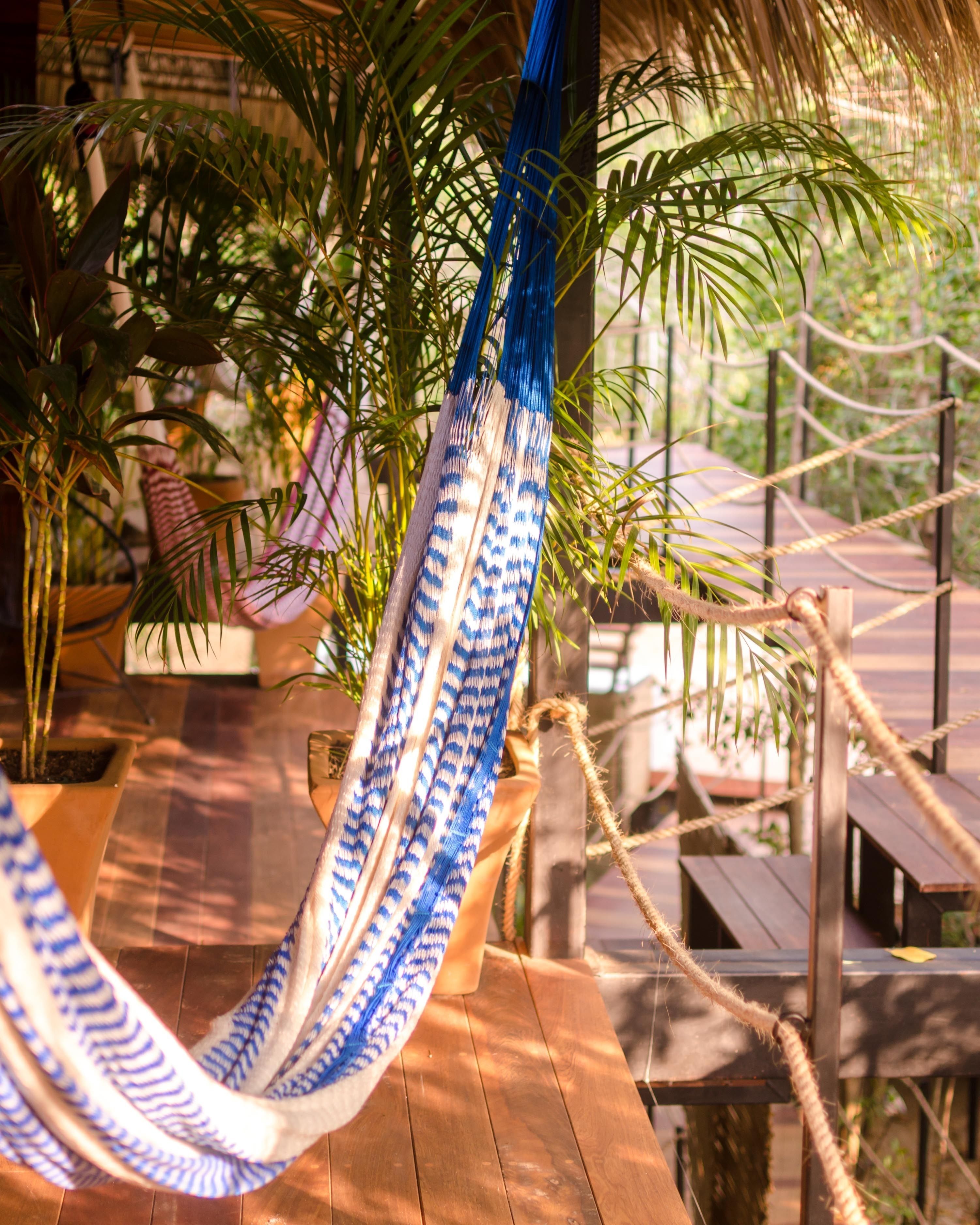 A hammock hanging from a wooden structure, surrounded by potted plants and a wooden deck.