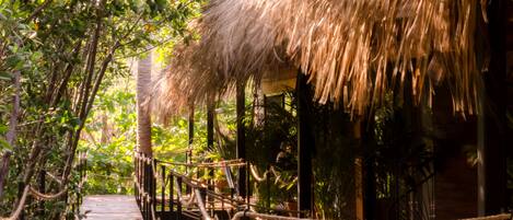 A wooden pathway leading to a thatched-roof structure surrounded by lush greenery.