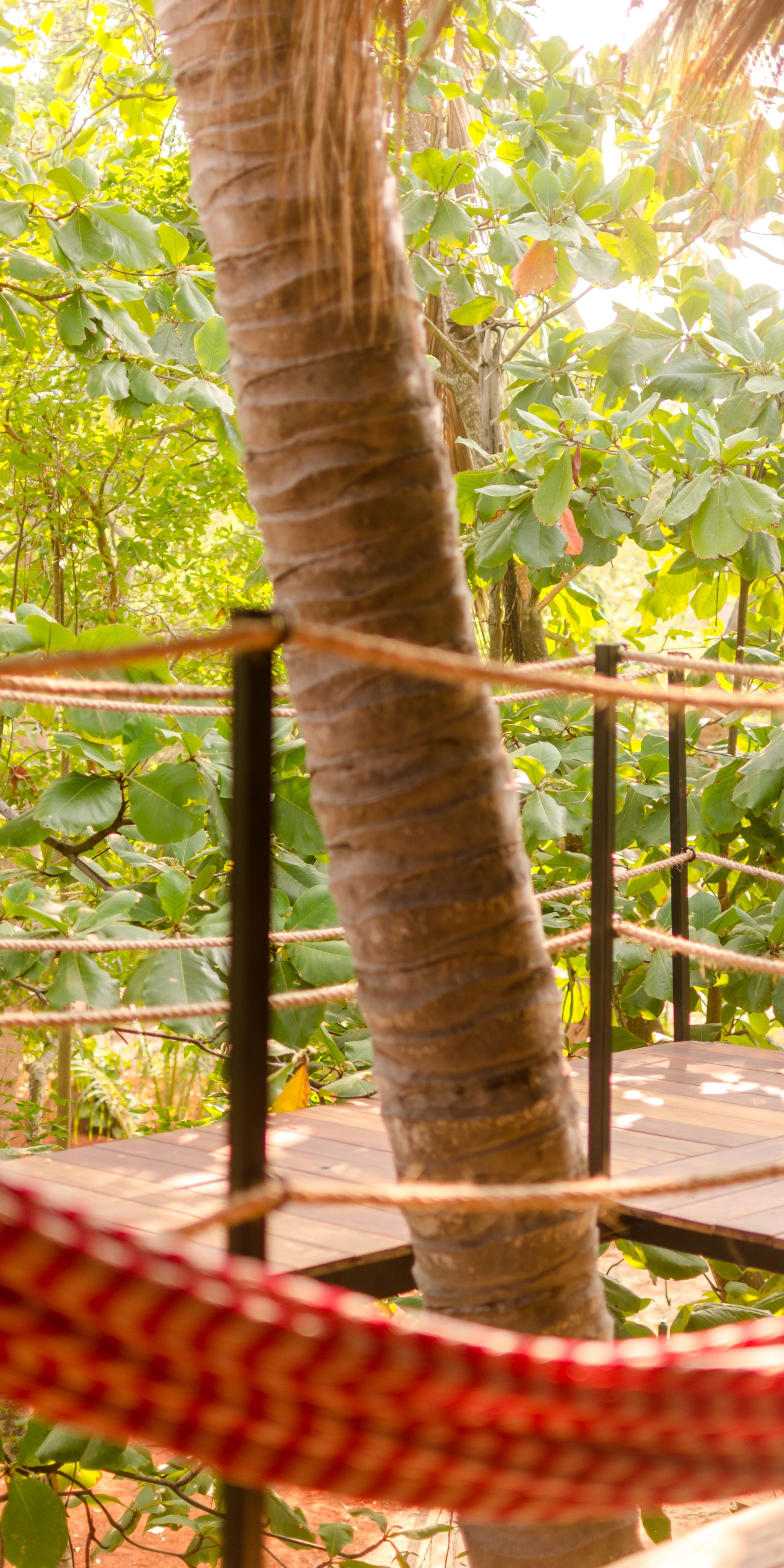 A rope bridge in a lush, green environment with a wooden platform.