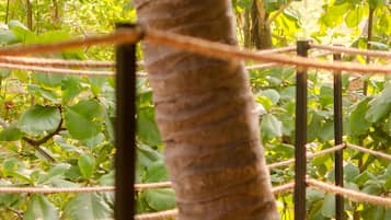 A rope bridge in a lush, green environment with a wooden platform.