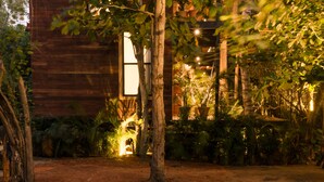 A wooden building with a large tree in front, surrounded by various plants and a well-lit interior.