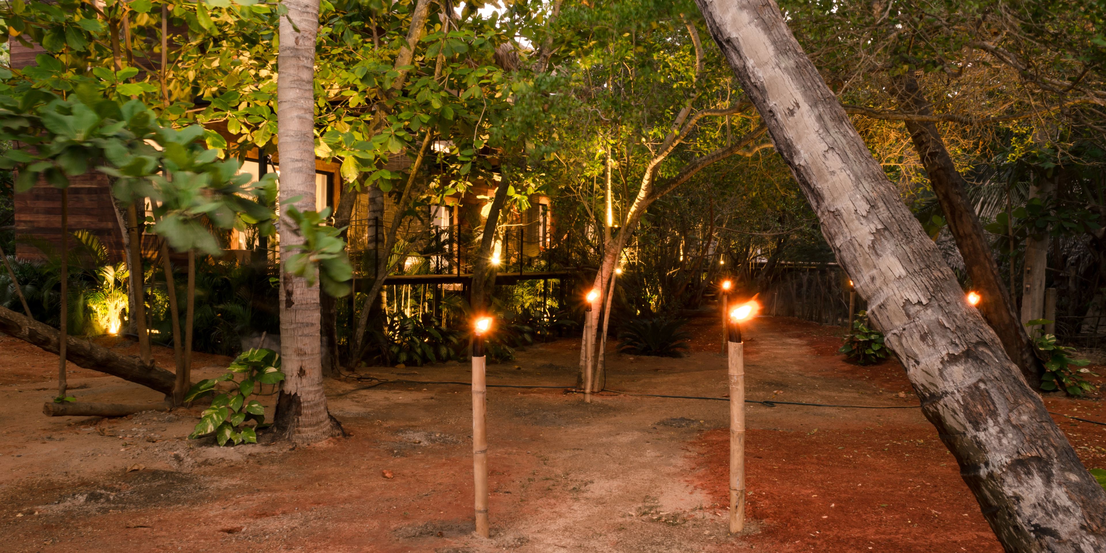 A pathway with wooden posts and a tree leaning over it.