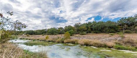 Un río serpentea por un paisaje natural con árboles y vegetación.