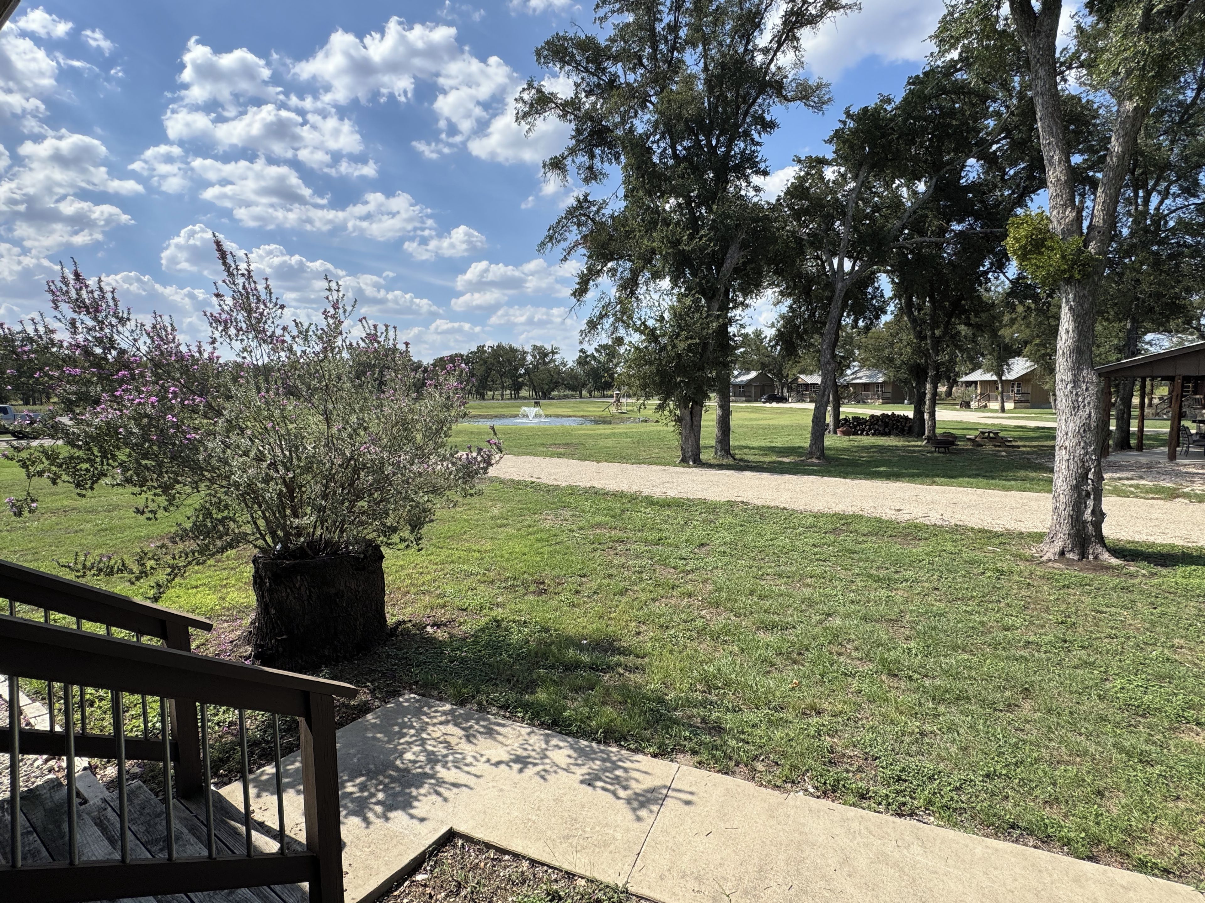 A park with a concrete pathway, trees, and a gazebo.