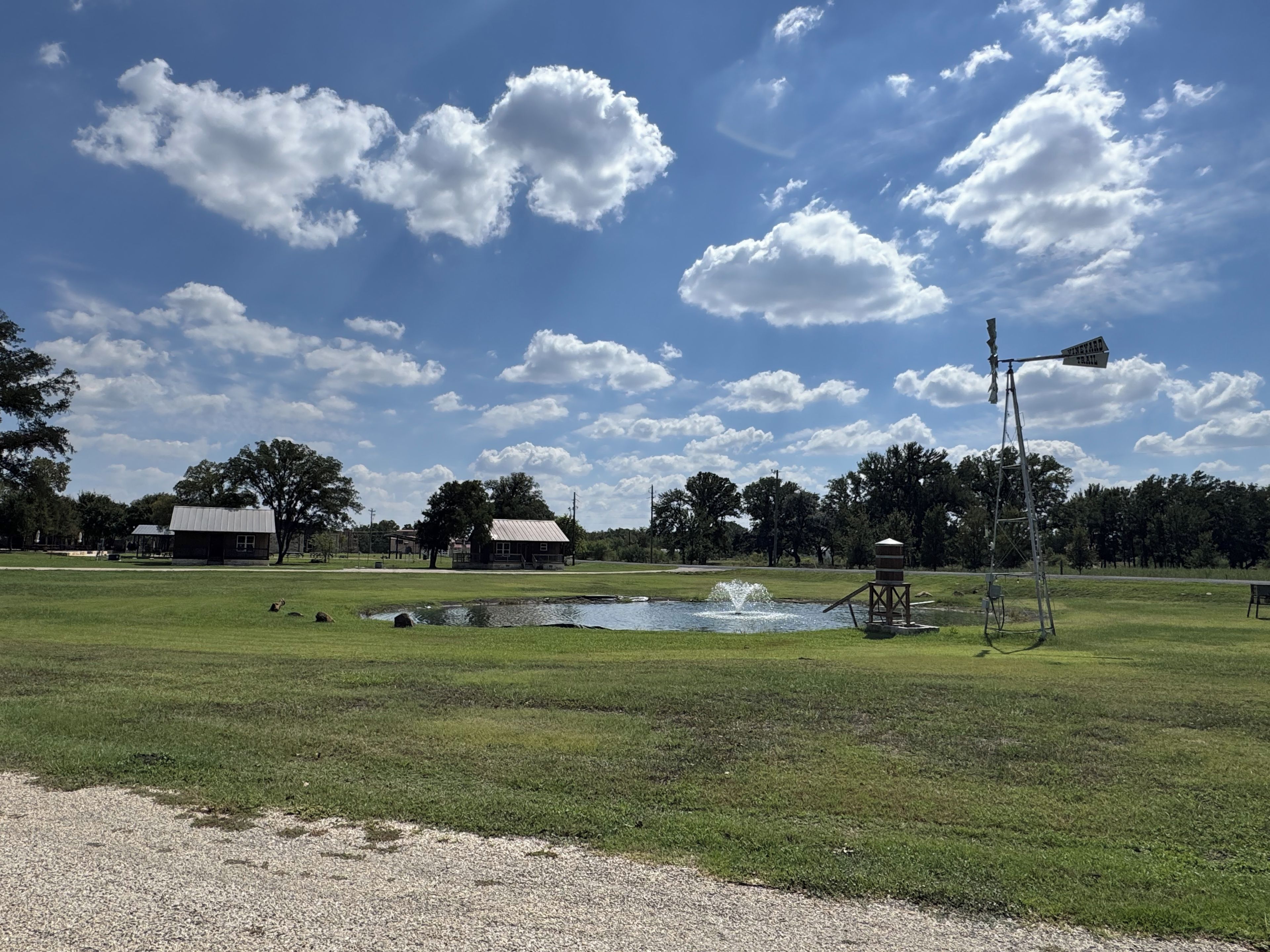 A grassy field with a small pond, a windmill, and two buildings in the background.