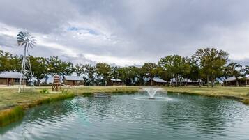 Accommodatievoorziening