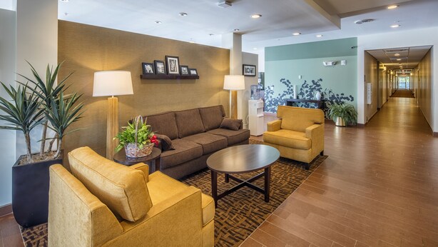 A spacious lobby with a brown sofa, two armchairs, a coffee table, and potted plants. - Sleep Inn & Suites Syracuse Airport (East Syracuse)
