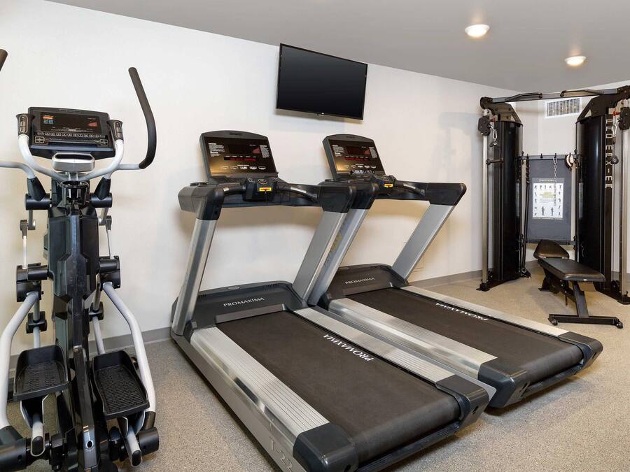 Une salle de sport équipée de deux tapis de course, d’un vélo d’appartement et d’une machine de musculation.