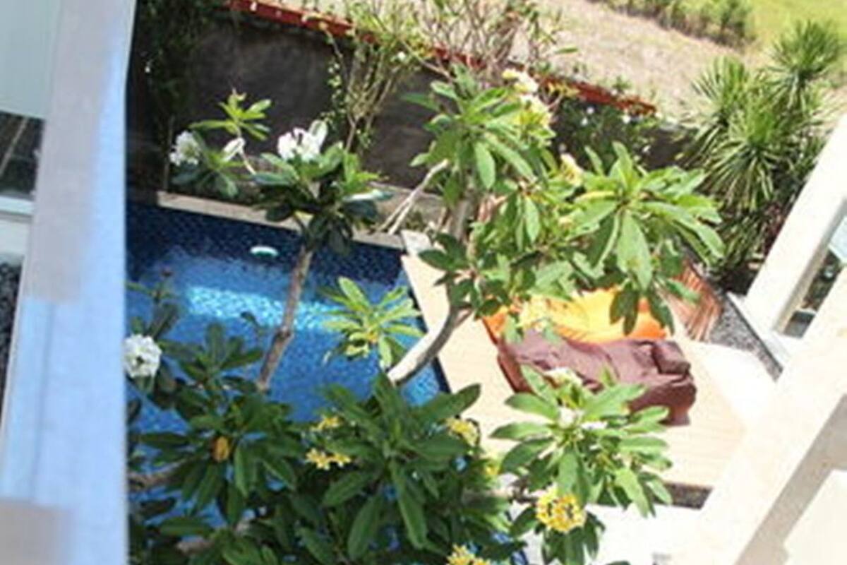 A swimming pool with clear blue water, surrounded by greenery and a wooden deck.