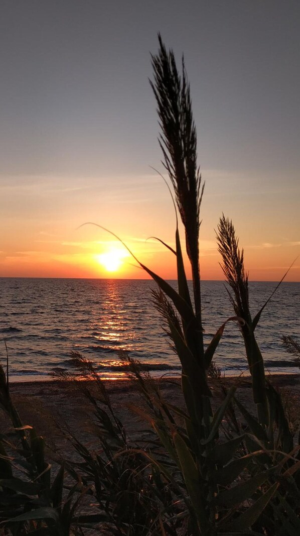 Am Strand, Sonnenschirme, Strandtücher