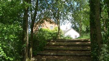 A set of wooden steps leading up to a building surrounded by dense foliage.